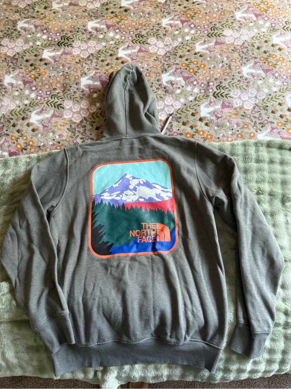 The North Face Gray Hoodie with Mountain Graphic